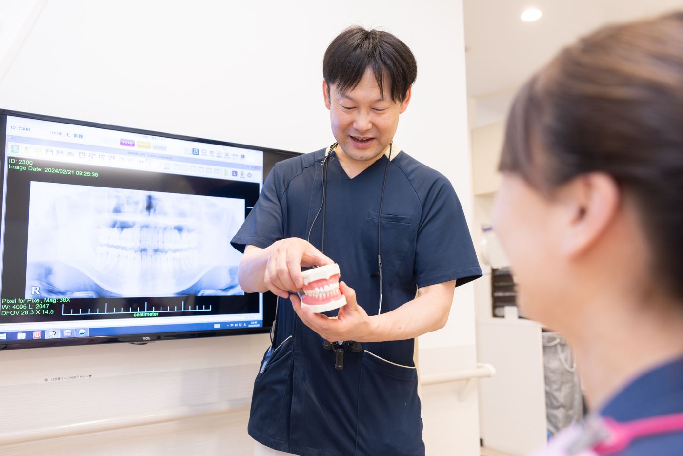 歯の模型で説明する院長